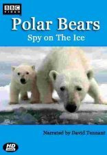 Белый медведь: Шпион во льдах 1 сезон