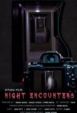 Ночные встречи