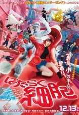 Клетки за работой