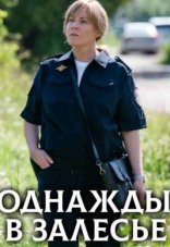 Однажды в Залесье 1 сезон