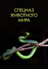Спецназ животного мира 1 сезон