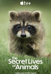 Тайная жизнь животных 1 сезон