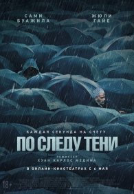 По следу тени