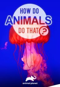 Удивительный мир животных 1 сезон