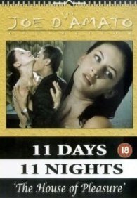 Дом удовольствия