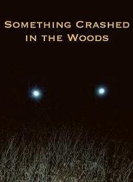 Крушение в лесу