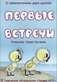 Первые встречи