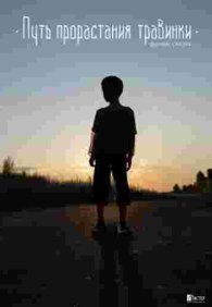 Путь прорастания травинки