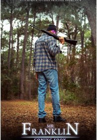 Мистер Франклин