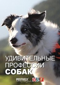 Удивительные профессии собак 1 сезон