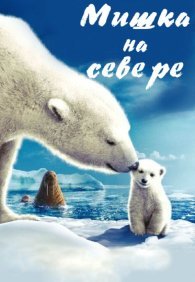 Мишка на Севере