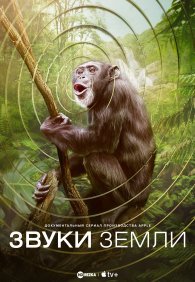 Звуки Земли 1 сезон