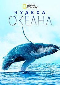 Чудеса океана