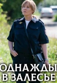Однажды в Залесье 1 сезон