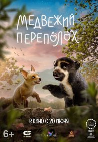 Медвежий переполох 