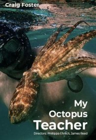 Мой учитель-осьминог