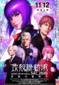 Призрак в доспехах: Синдром одиночки 2045. Устойчивая война