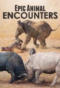 Невероятные встречи с животными 1 сезон