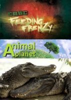 Как прокормить крокодила