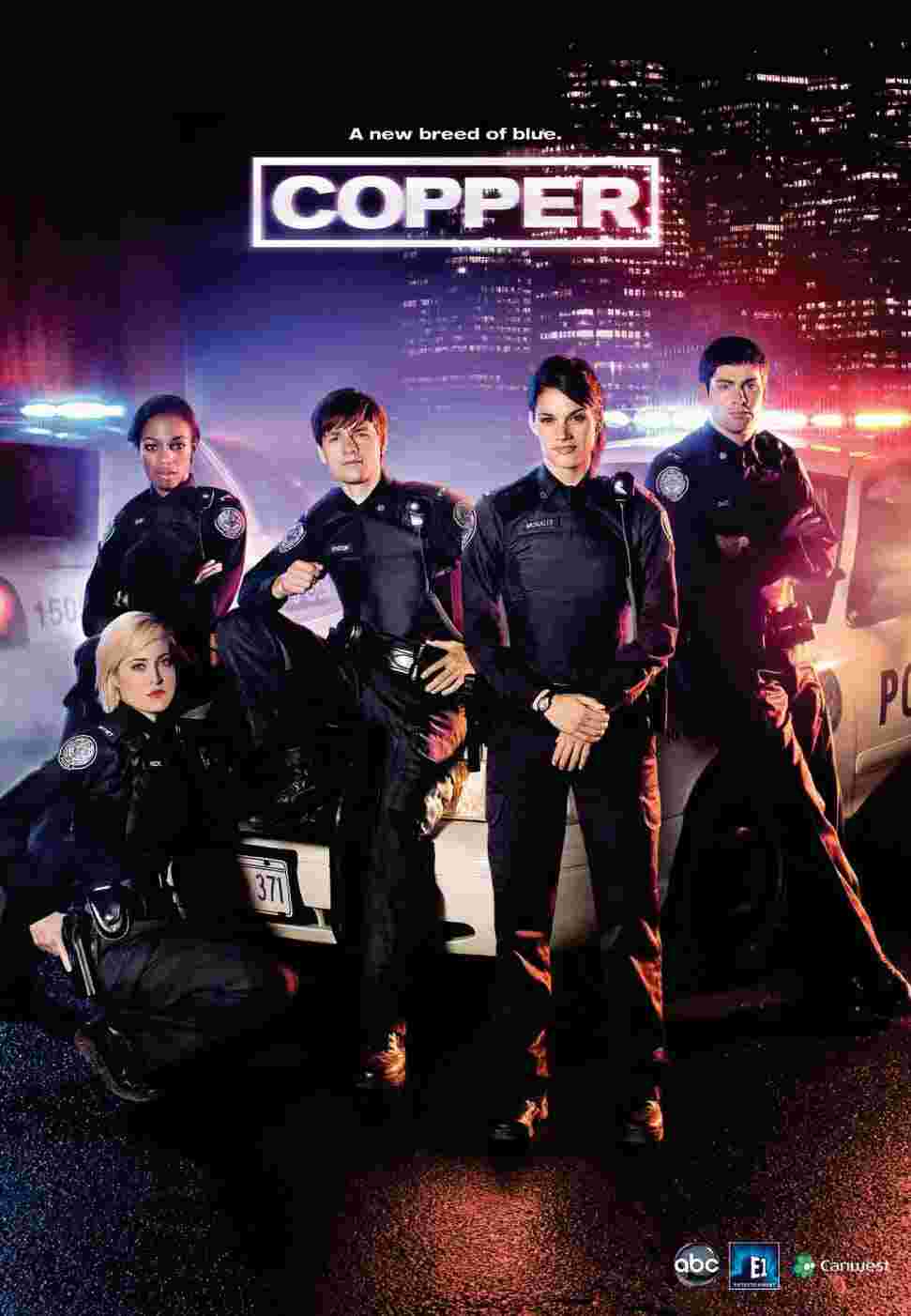 Сериал Копы 1 сезон Rookie Blue смотреть онлайн бесплатно!